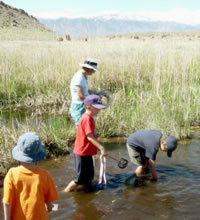 schoolkids collect aquatic invertebrates