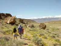 schoolkids on a discovery hike