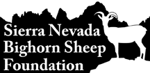 Sierra Nevada Bighorn Sheep Foundation logo