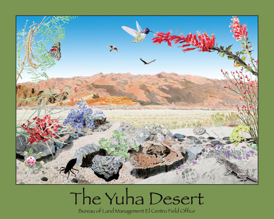 Yuha Desert poster